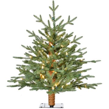 Fraser Hill Farm 2.0' Green Alpine Porch Accent Tree, Warm White LED Lights