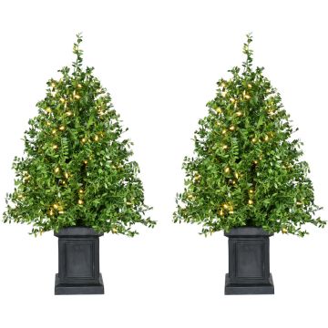 Fraser Hill - Farm 24-In. Boxwood Tree in Black Pot - Warm White LED Lights - Set of 2