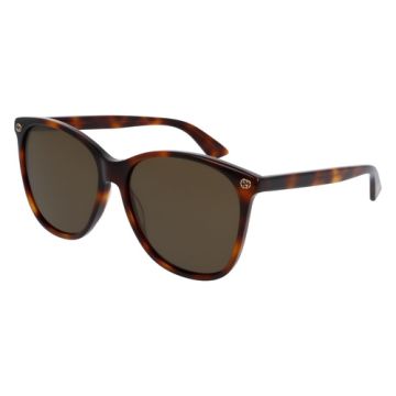 Gucci Women's Oversize Round Sunglasses - Havana/Brown