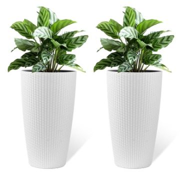 Faux Rattan Tall Planters Set With Water Level Monitor And Automatic Watering, Polypropylene - Black / Gray