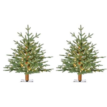 Fraser Hill - Farm 2.0' Green Alpine Porch Accent Tree - Warm White LED Lights - Set of 2