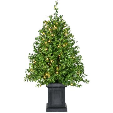 Fraser Hill Farm 24" Boxwood Tree in Black Pot, Warm White LED Lights
