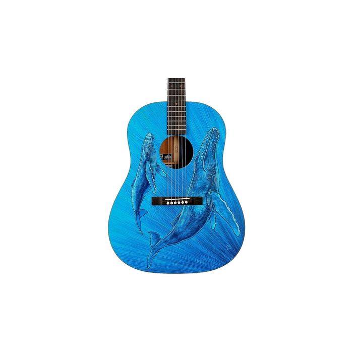 Martin DSS Biosphere II Acoustic Guitar w/SS 2
